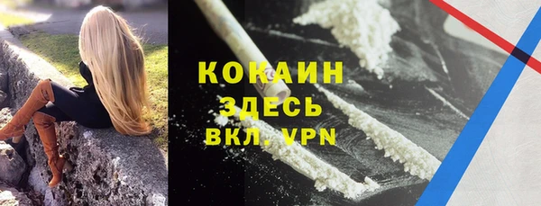 стаф Покачи