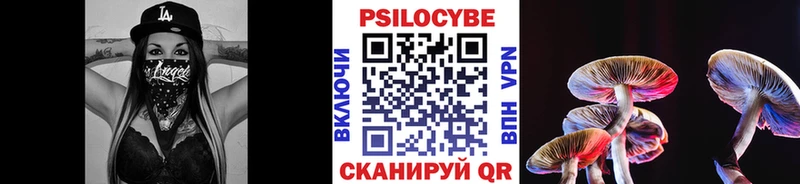 Галлюциногенные грибы Psilocybe  цена наркотик  Инза 
